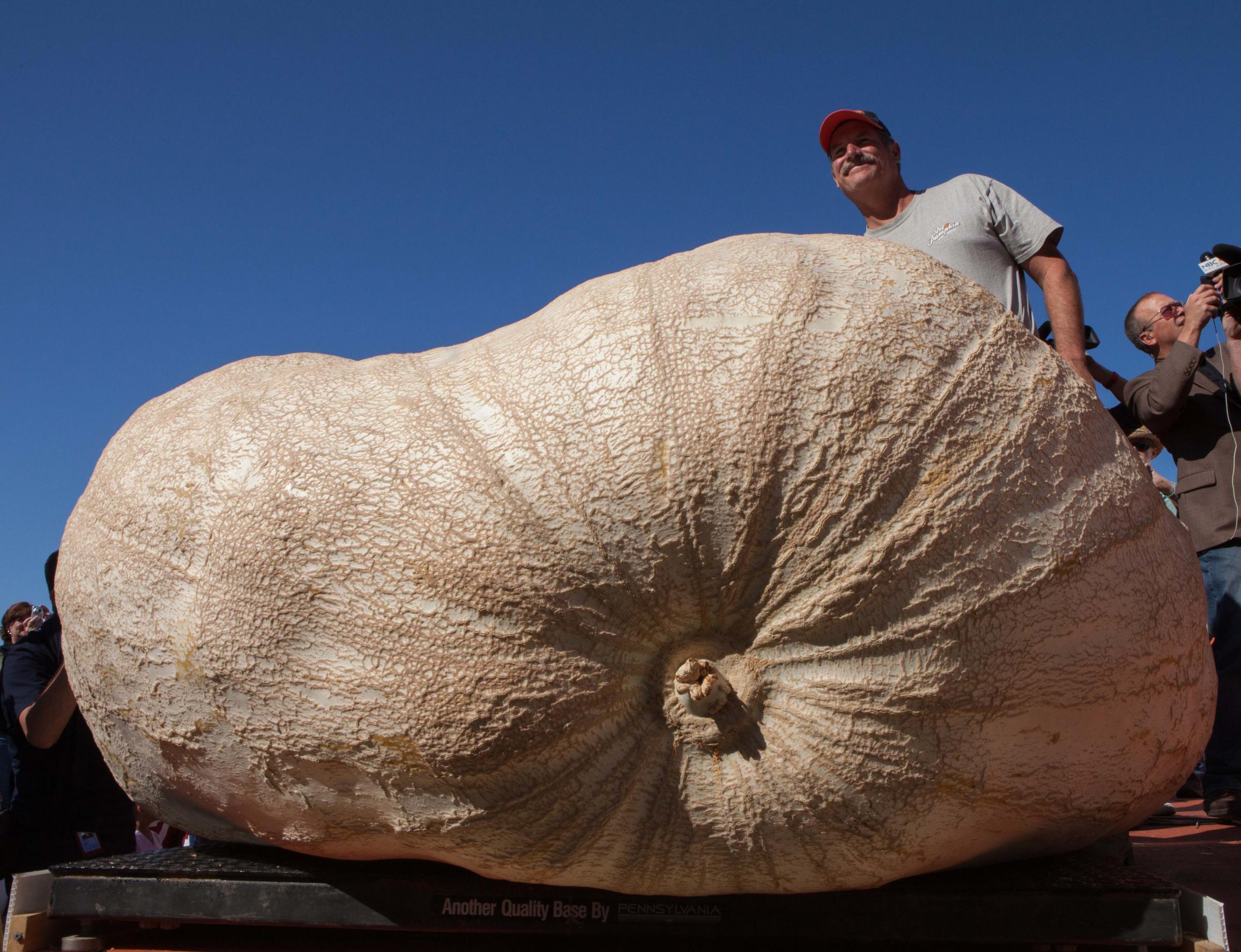 Aspettando Halloween Arriva La Gara Delle Zucche Giganti 