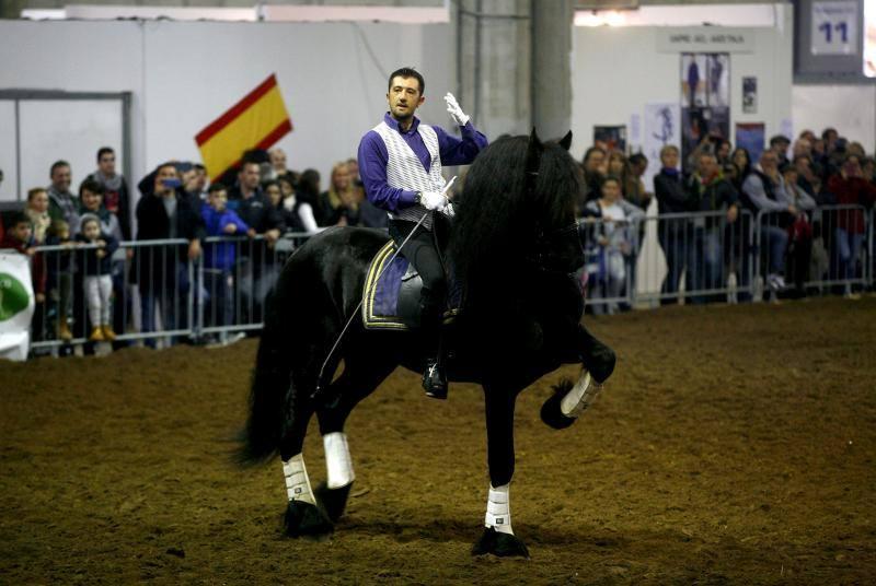 FieraCavalli a Verona, tra storia e innovazione Photogallery Rai News